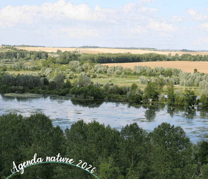 Balade dessinée autour de l'eau